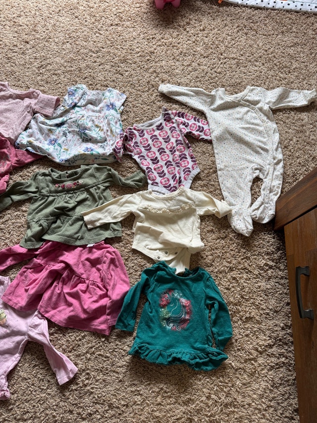 Baby Girl Clothing Bundle; 6-12 months