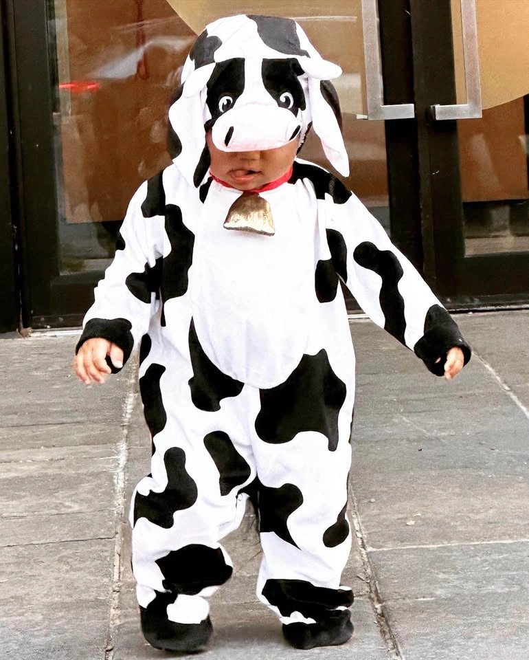 Mini Moo Halloween Costume - photo 2