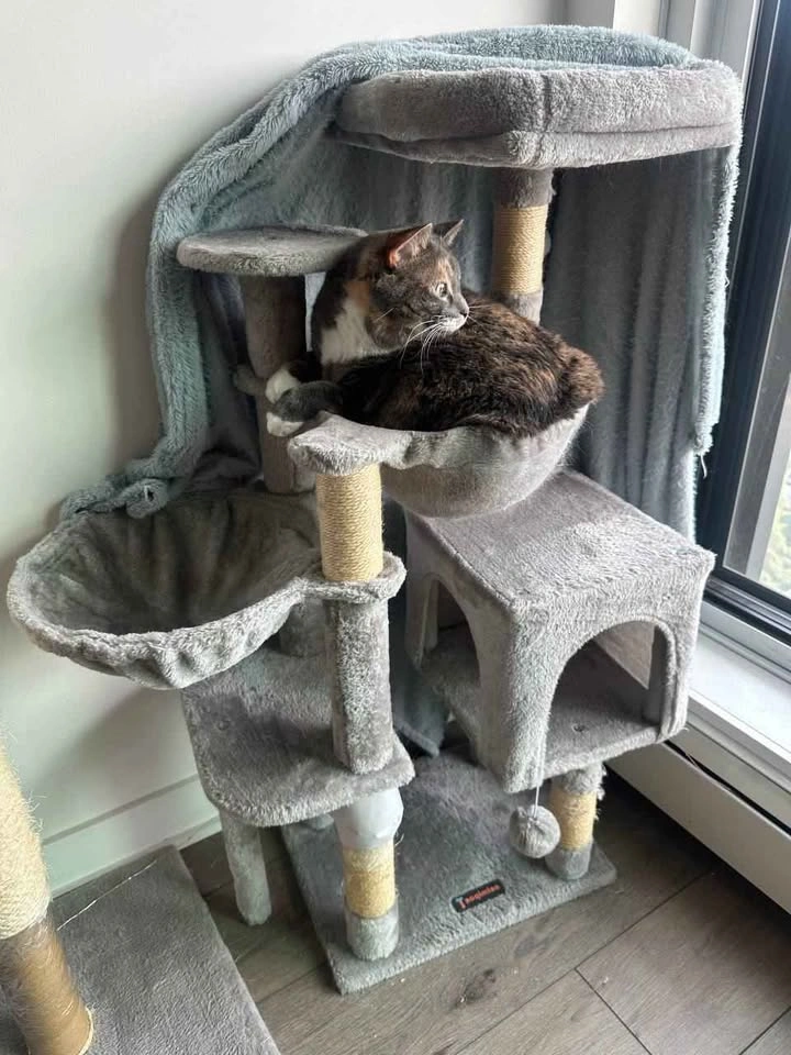 Cat tree, cat scratcher and cat window bed - photo 2