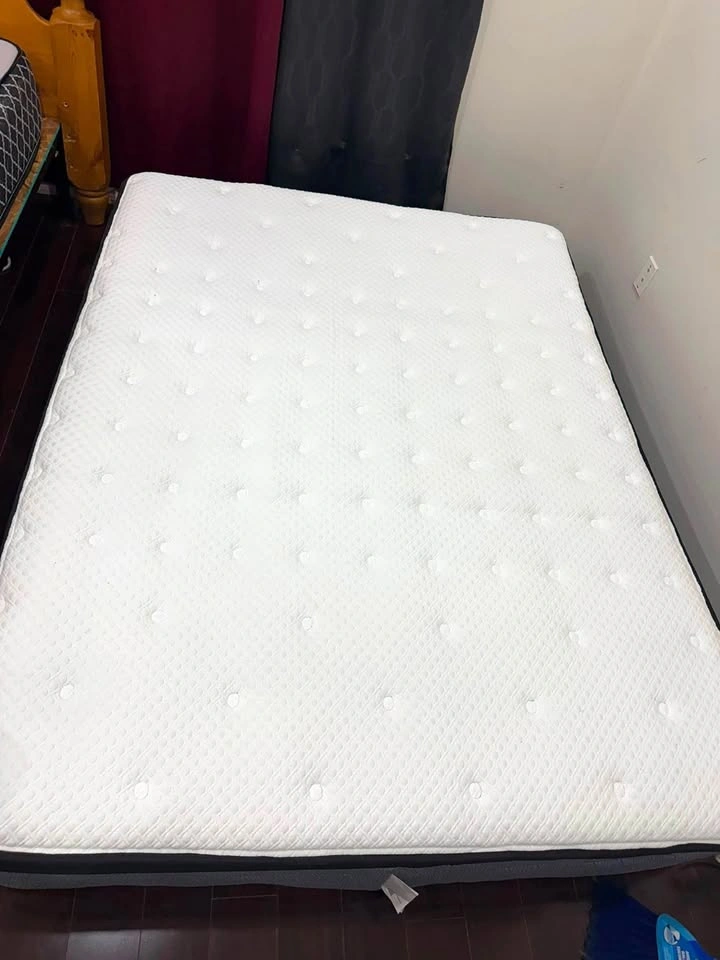 Sealy Matress Queen Size