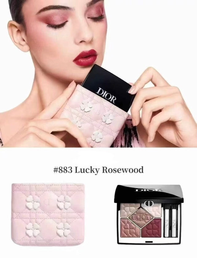 BNIB Dior Diorshow 5 Couleurs - Limited Edition 883 - photo 2