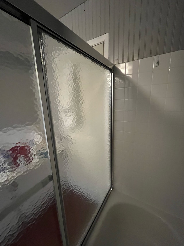 Maxx Shower Door For The Bathtub - photo 4