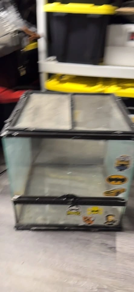 Glass Terrarium Tank - photo 2