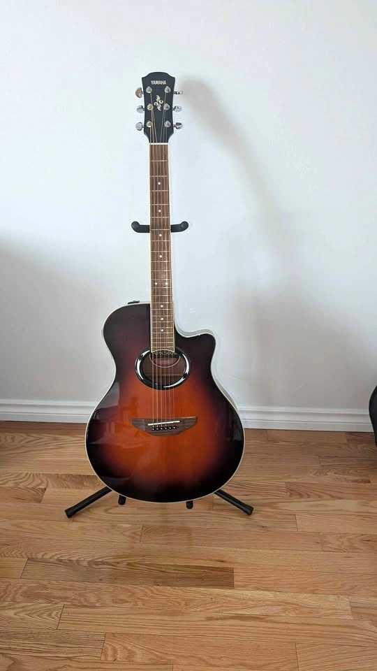 Yamaha APX 500 w/Hard Case