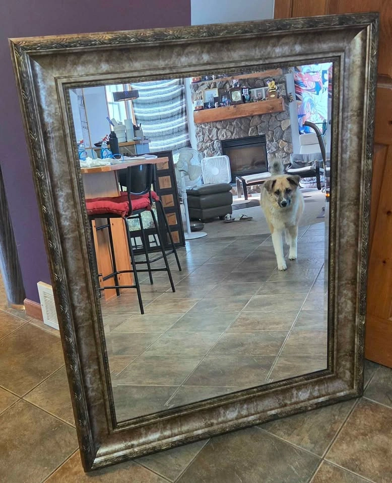 Antiqued Pewter Extra Large Wide Frame Wall Mirror 50x40 - photo 4