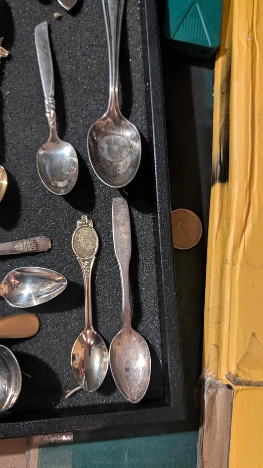 Vintage Souvenir and Commemorative Spoon Collection - photo 5
