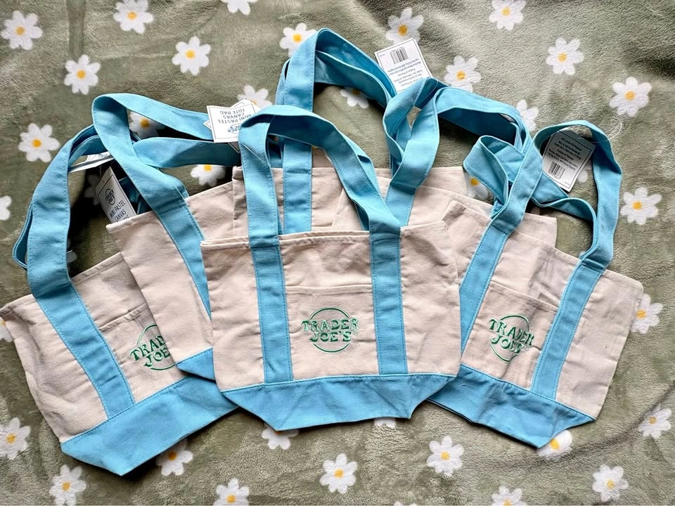 Trader Joe’s Mini Canvas Bags-Blue