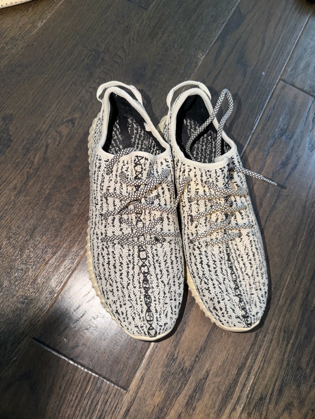 Adidas Yeezy boost 350 “Turtle Dove”