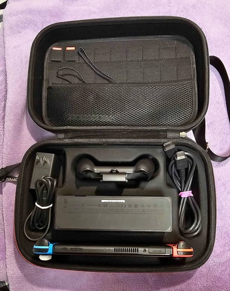 Nintendo Switch Hard Cases