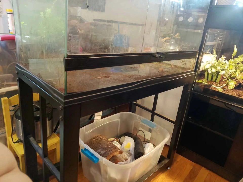 40 gallon reptizoo front open terrarium - photo 2