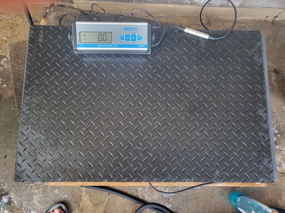 Salter Brecknell Animal Weighing Floor Scale PS250-36 - photo 2
