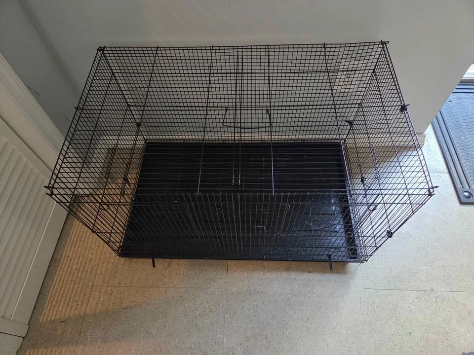 Black Cage for Small Birds - photo 3