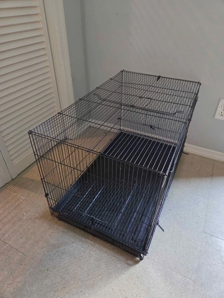 Black Cage for Small Birds - photo 4