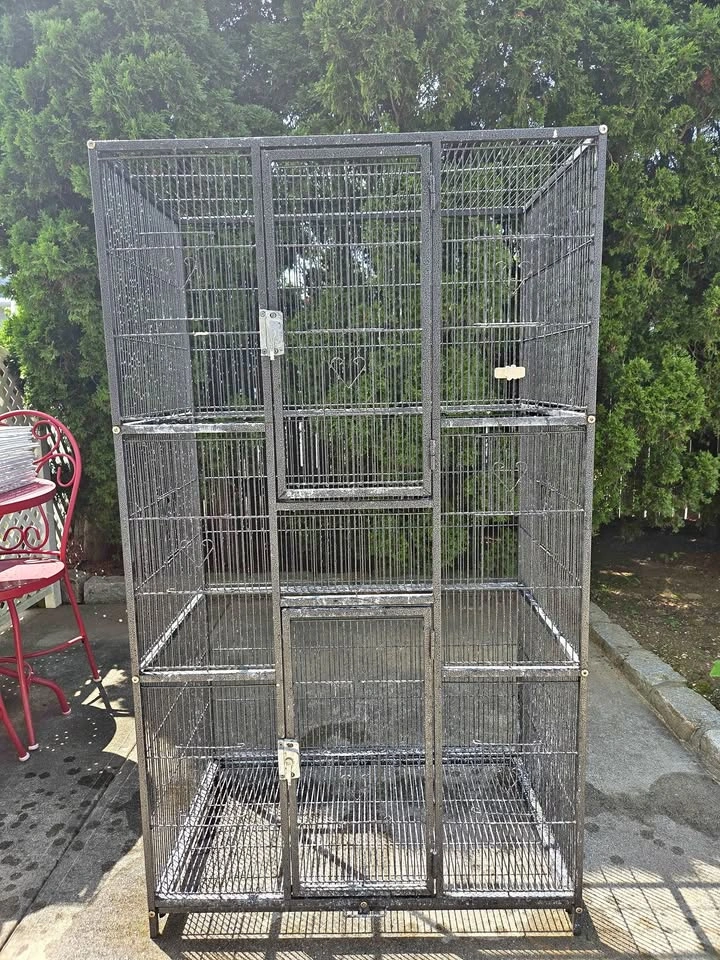 Large Bird Flight Cage