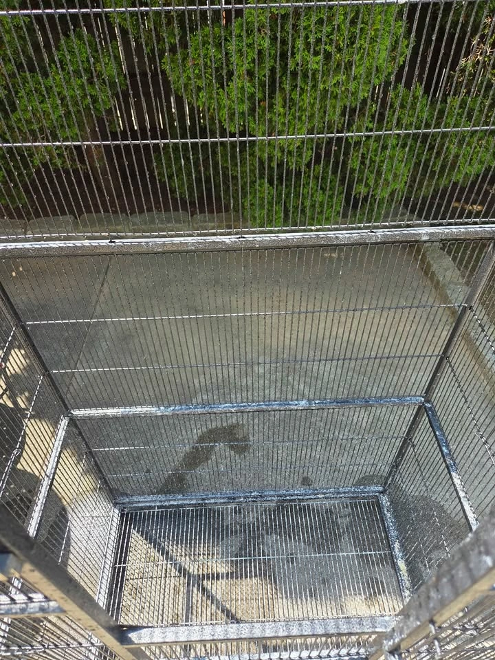 Large Bird Flight Cage - photo 4