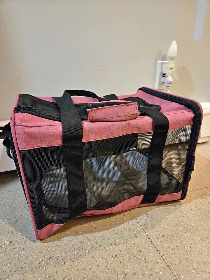 Large Soft Pet Carrier