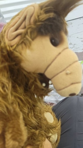 1986 Coleco ALF Alien Plush, Medium 14-24 in, Brown - photo 2