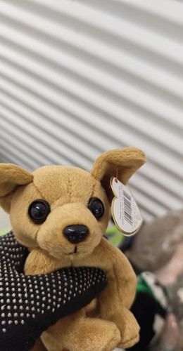 TY Beanie Babies Lot of 2 Cheetah & Chihuahua Plush With Origina