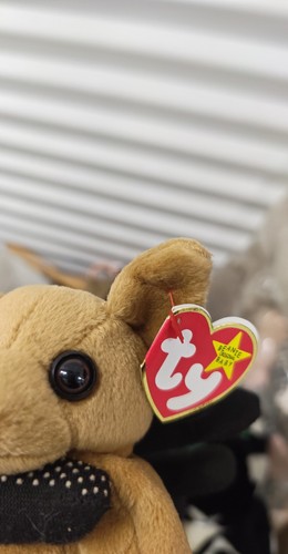 TY Beanie Babies Lot of 2 Cheetah & Chihuahua Plush With Origina - photo 2