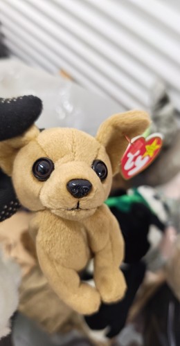 TY Beanie Babies Lot of 2 Cheetah & Chihuahua Plush With Origina - photo 3