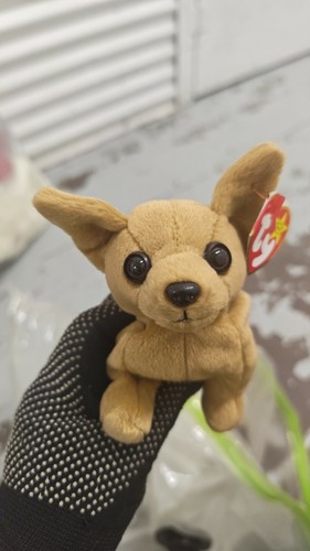 TY Beanie Babies Lot of 2 Cheetah & Chihuahua Plush With Origina - photo 5