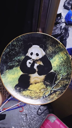 W.S. George The Panda Collector Plate Bradex 84-G20-15.1