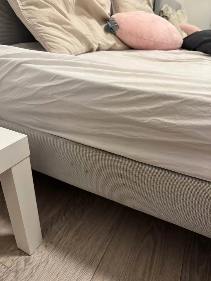 Queen size Grey Upholstered Bed Frame + White Bedside Table - photo 4
