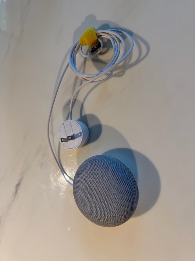 Google Nest Mini