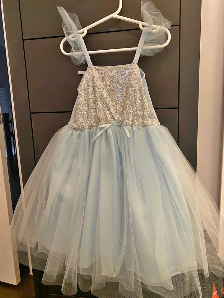 Cinderella dress Halloween dress