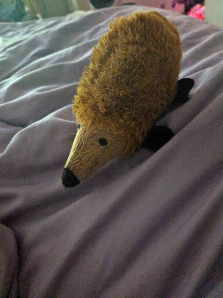 Seeking the Hedgehog Plush
