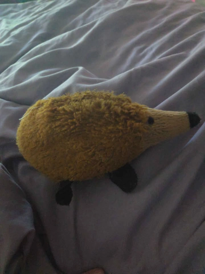 Seeking the Hedgehog Plush - photo 2