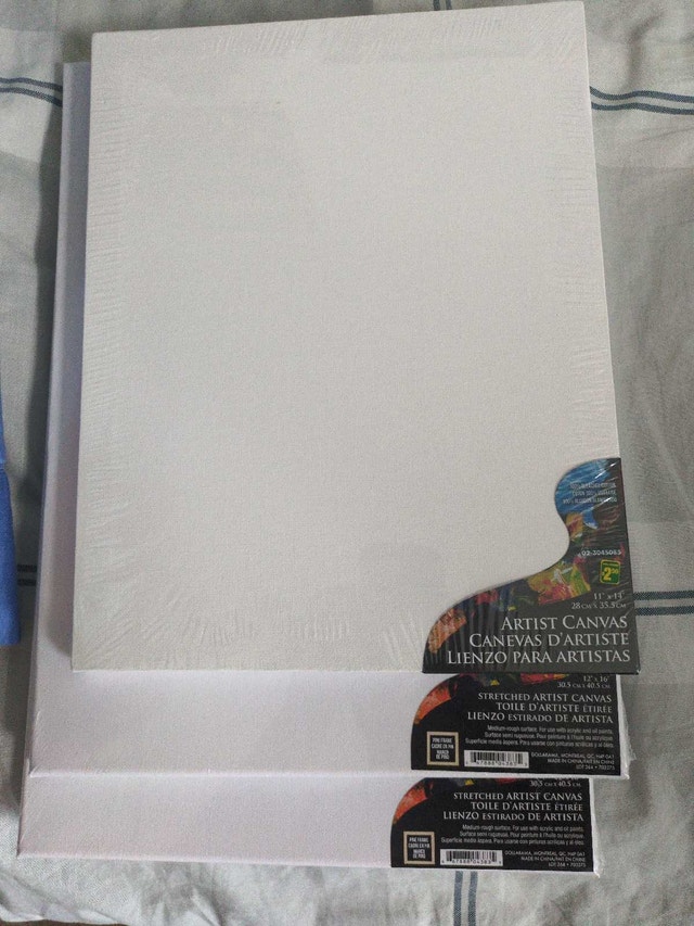 Brand New Painting Canvas