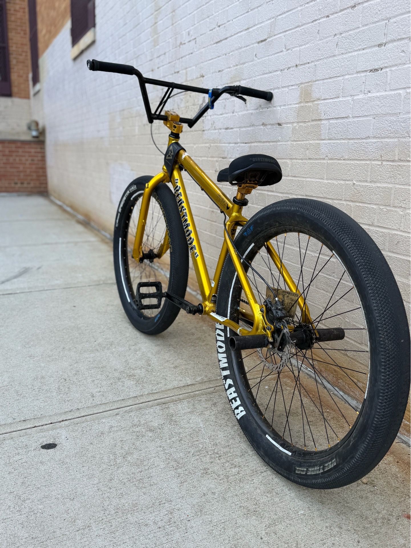 GOLD BEASTMODE 27.5 FOR LOW - photo 3