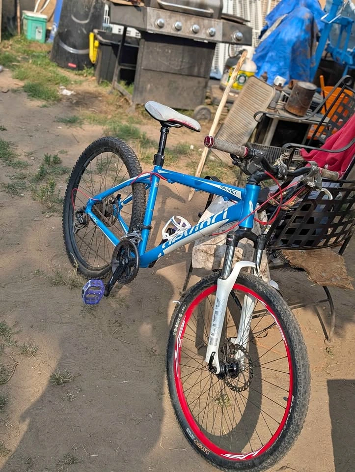Devinci Cameleon 2 Mountain Bike