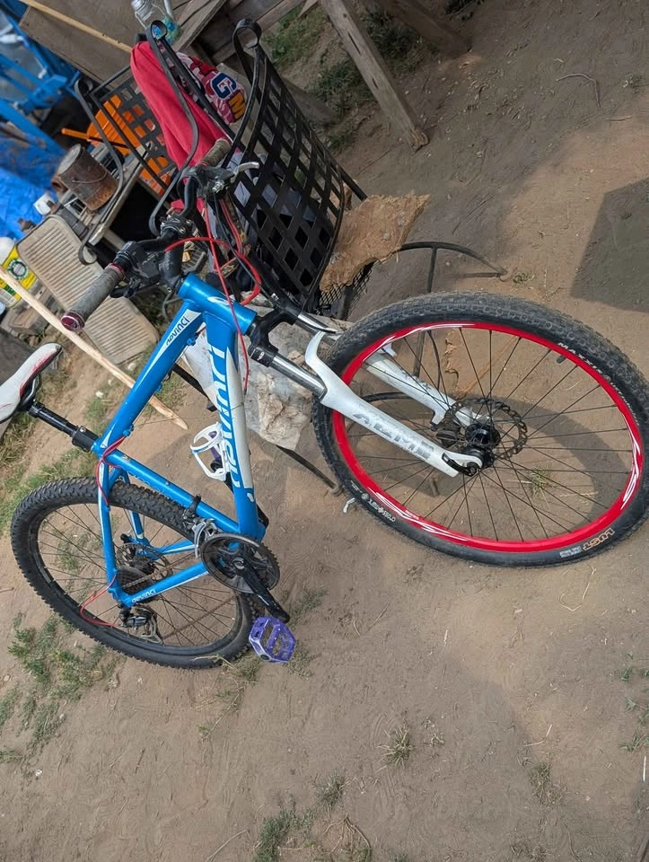 Devinci Cameleon 2 Mountain Bike - photo 5