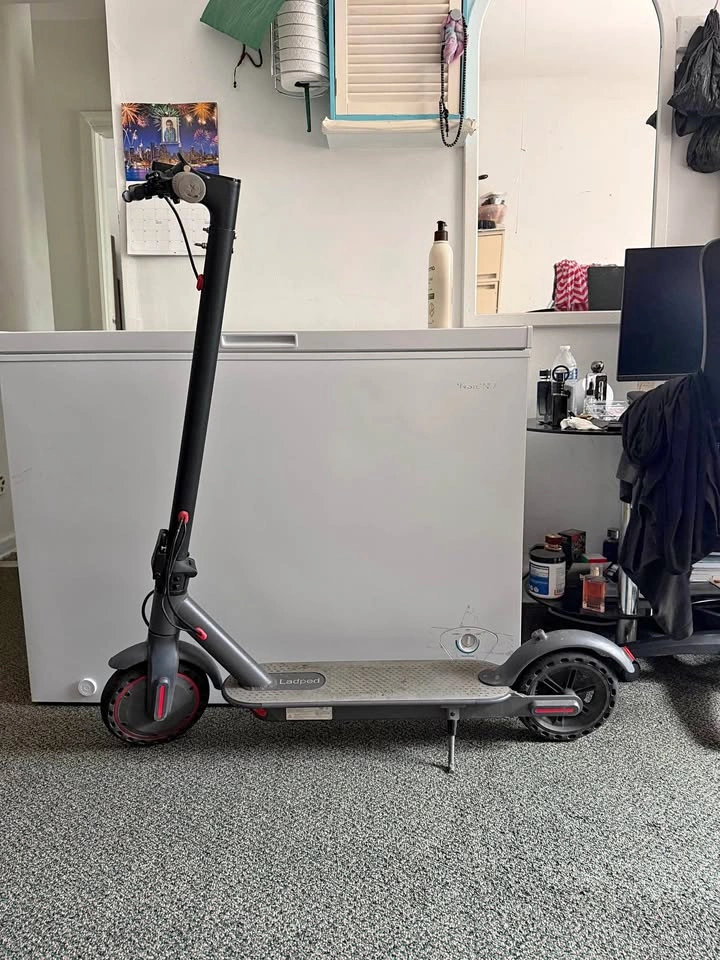 Ladped Electric Scooter