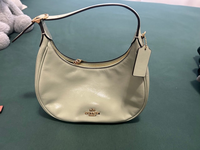 Coach Hobo Bag