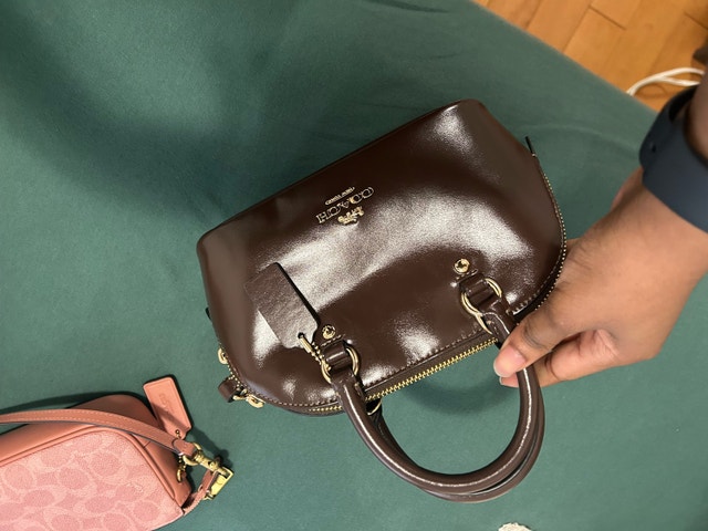 Coach Mini Dome Crossbody Bag