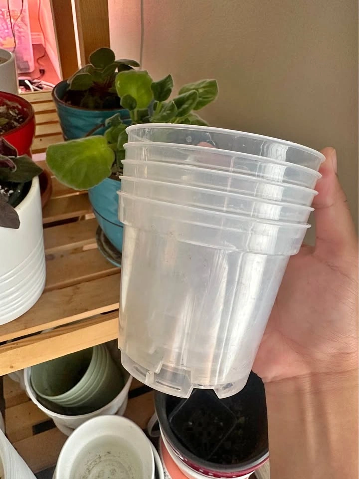 Clear Nursery Pots (4in, 5in)