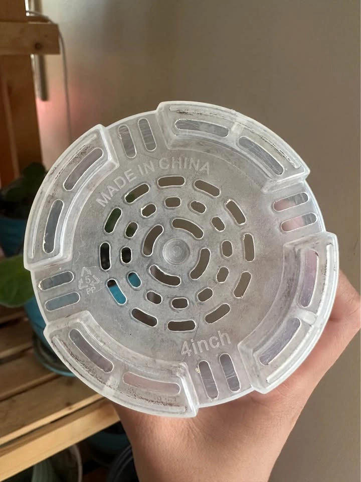 Clear Nursery Pots (4in, 5in) - photo 2