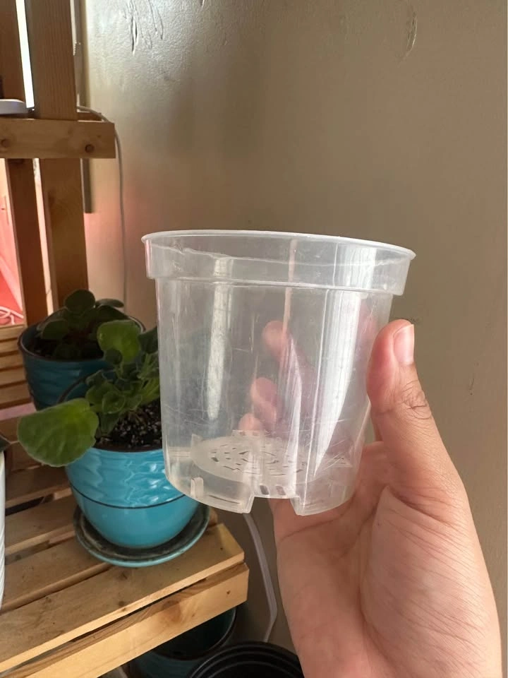 Clear Nursery Pots (4in, 5in) - photo 3