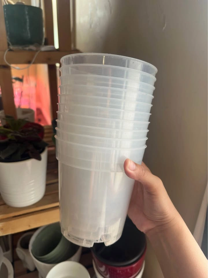 Clear Nursery Pots (4in, 5in) - photo 4