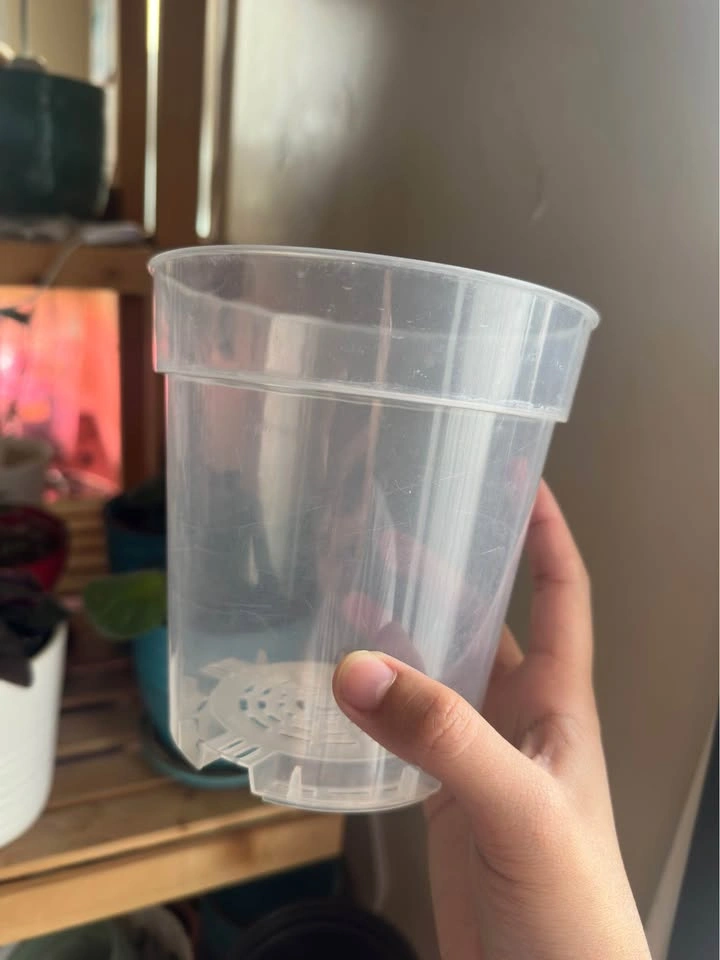 Clear Nursery Pots (4in, 5in) - photo 5