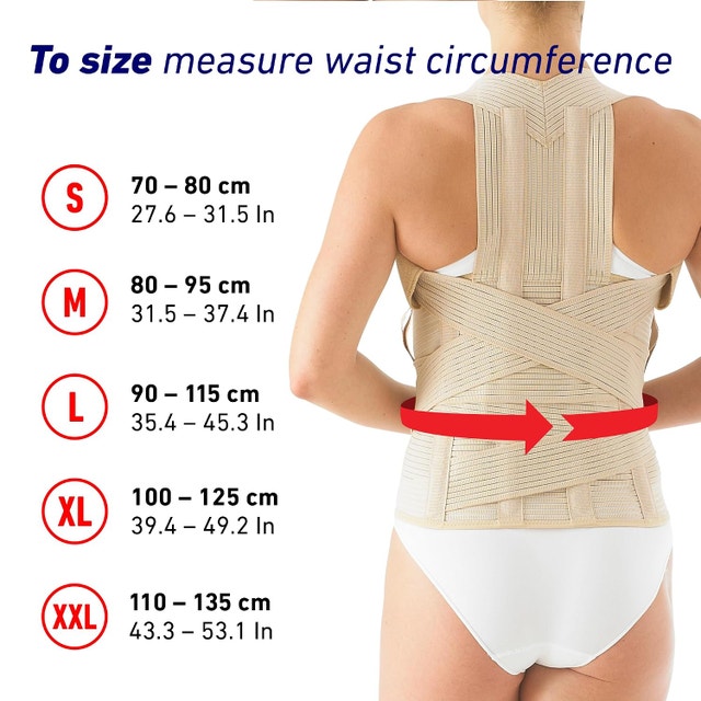Orliman Clinical Dorsolumbar Back Support Brace - photo 4