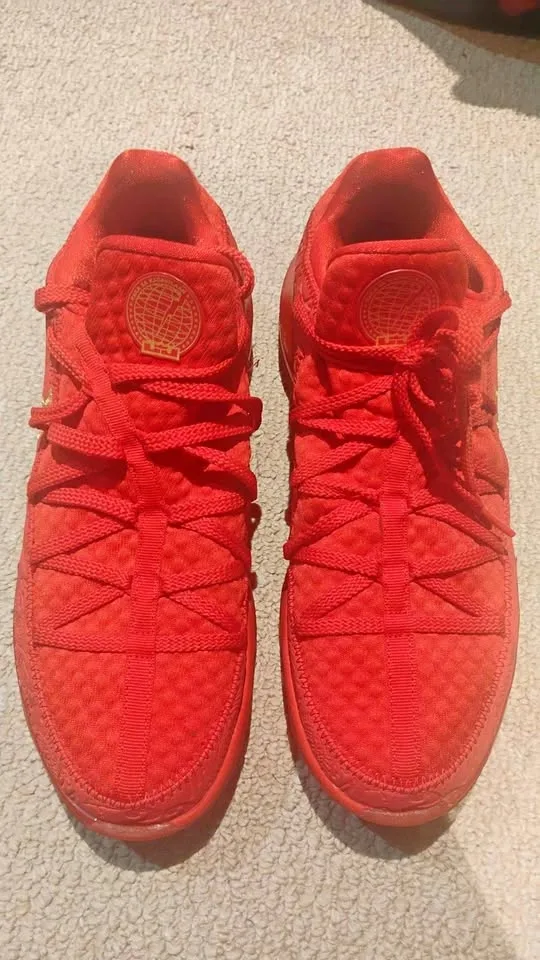 Lebron 17 x Titan Low Size 11 Basketball Shoes
