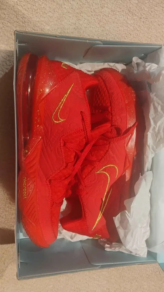 Lebron 17 x Titan Low Size 11 Basketball Shoes - photo 2