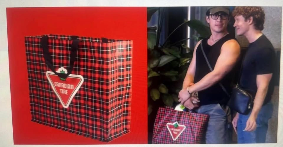 Canadian Tire Branded Plaid Reusable Bag - photo 3