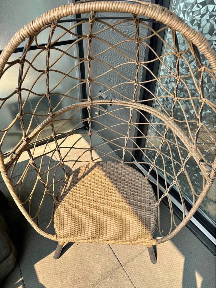 Wicker Egg Chair with Cushion