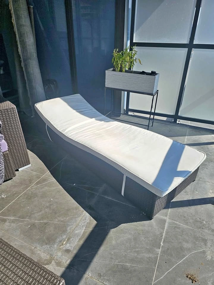 Wicker Outdoor Chaise Lounge with Cushion