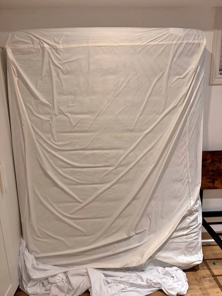 Sealy Queen Mattress - photo 2